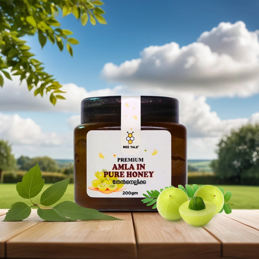 AMLA IN HONEY